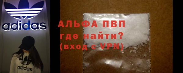стафф Алексин