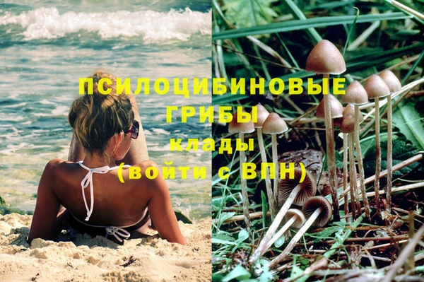 шишки Абдулино