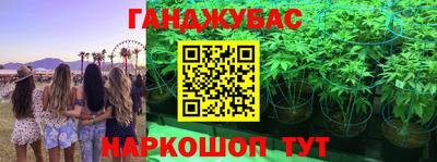 твердый Новозыбков