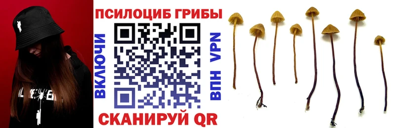Псилоцибиновые грибы MAGIC MUSHROOMS  Элиста 