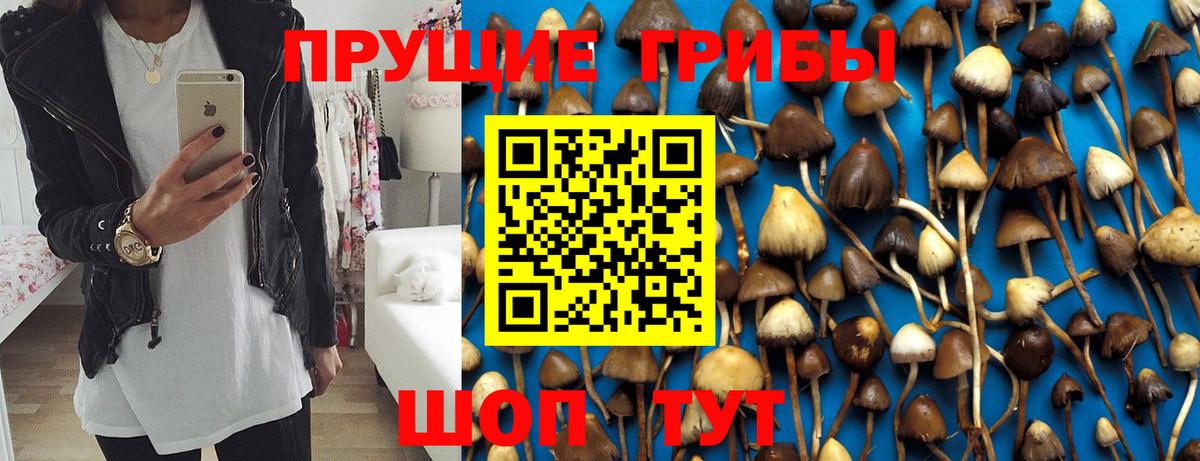 Галлюциногенные грибы ЛСД  Вход с VPN  Элиста  Галлюциногенные грибы мицелий 