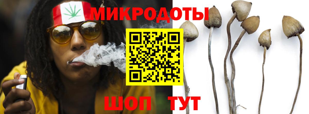 Галлюциногенные грибы прущие грибы Элиста